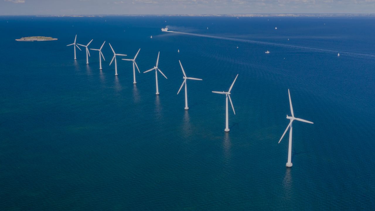 export and market entry partner in Denmark